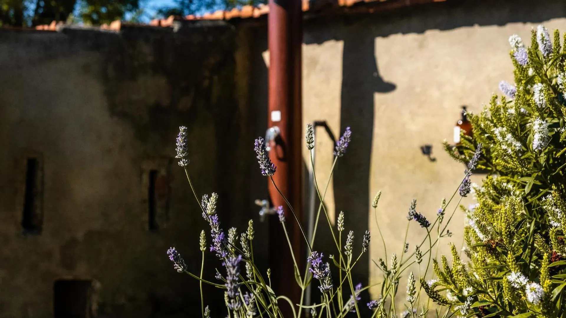 Casenuove III - Casale Con Giardino E Piscina 카스티글리온셀로