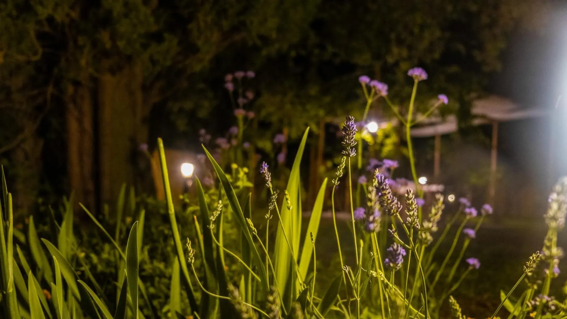 Holiday home Casenuove III - Casale Con Giardino E Piscina Castiglioncello